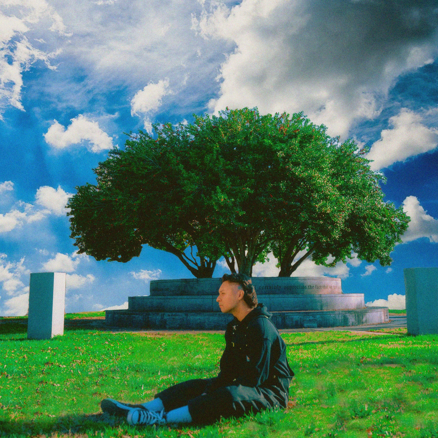 Pony Album Cover